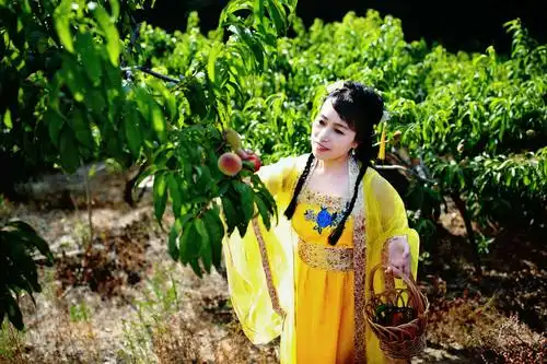仙女摘桃