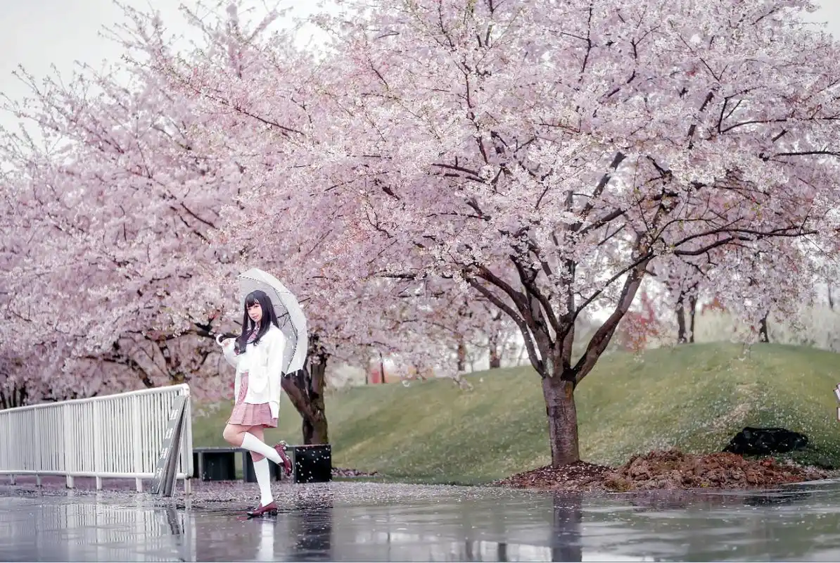 细雨湿衣jk小姐姐,和我一起坐小火车赏花吧!