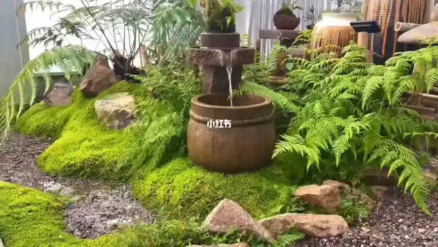 室内景观枯山水植物墙永生苔藓