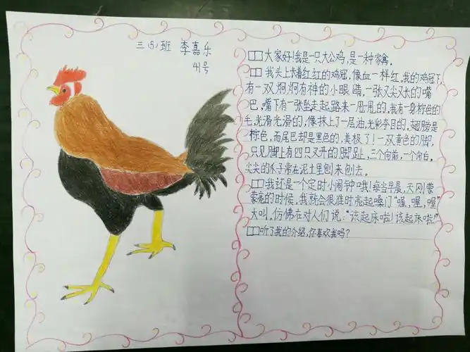 三(5)班优秀动物名片展示