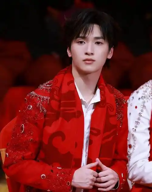 公开资料显示,严浩翔,2004年8月16日出生于广州市,中国内地流行乐男