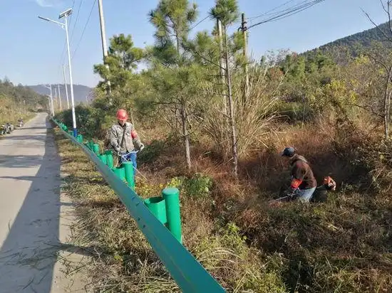 怀宁腊树镇建设隔离带筑牢森林防火安全屏障