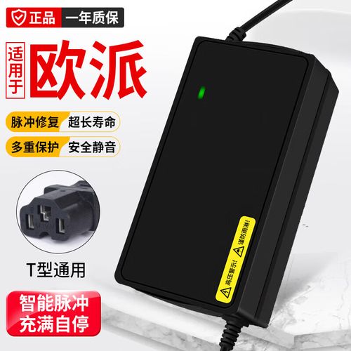 适用欧派电动车充电器电瓶车48v12a60v20a72v30a新国标小公插通用