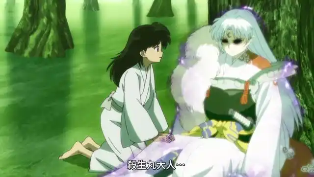 半妖的夜叉姬犬夜叉离开墓地永远跑去救杀生丸