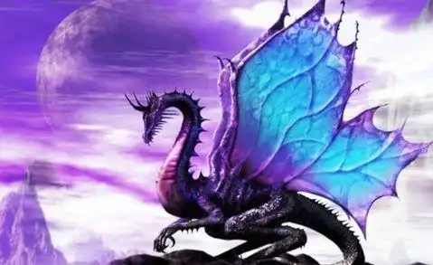 霸王的大陆攻略-斗罗大陆:九个强大"龙系"武魂,你觉得哪个最强?