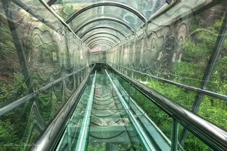 身处其中,手机拍摄520米长的双童山玻璃滑道