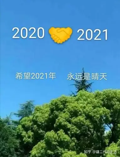 新疆中药材2020你若不弃2021年我们继续