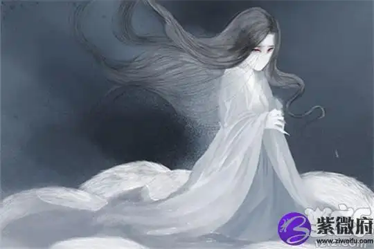 十二星座专属九尾狐-紫微府