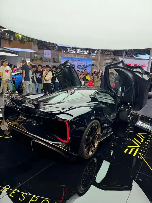 谢谢最近做了不少好吃的～ 总算赶上今年的北京车展了!