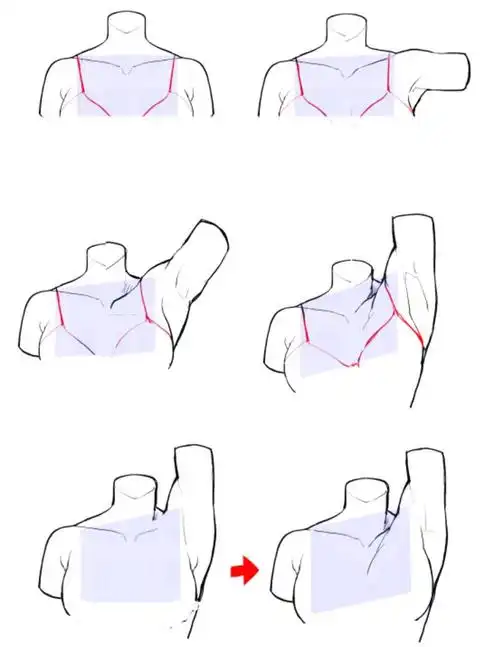 锁骨要跟着肩膀一起动~斜方肌要跟着一起抬#绘画教程  #零基础学画画