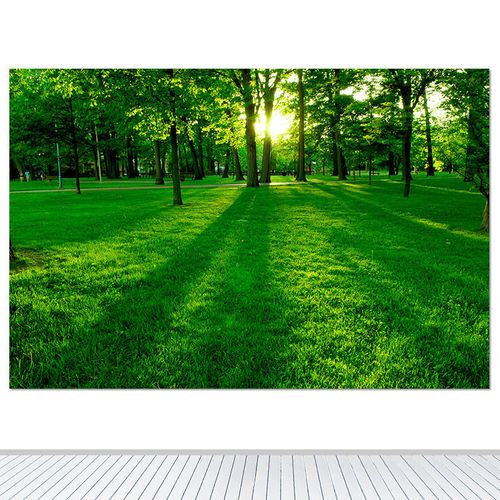 草地公园森林海报绿色风景装饰阳光树林树木客厅卧室书房墙贴壁画