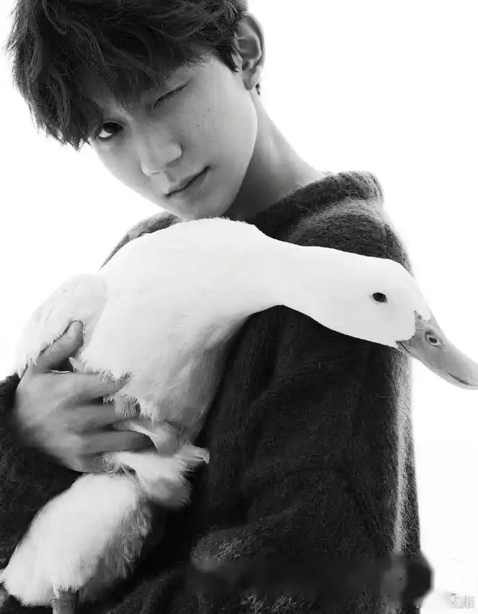 王源喜提《时尚cosmo》十月刊封面,头号玩家骑单车,抱鸭,肆意释放潇洒