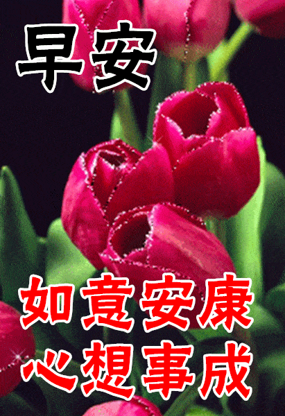 12月26日最漂亮早上好动态表情图片大全早晨好动图美图大全