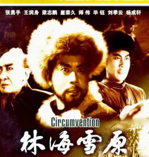 1960年,王润身在故事片《林海雪原》中扮演了侦察英雄杨子荣,给观众留