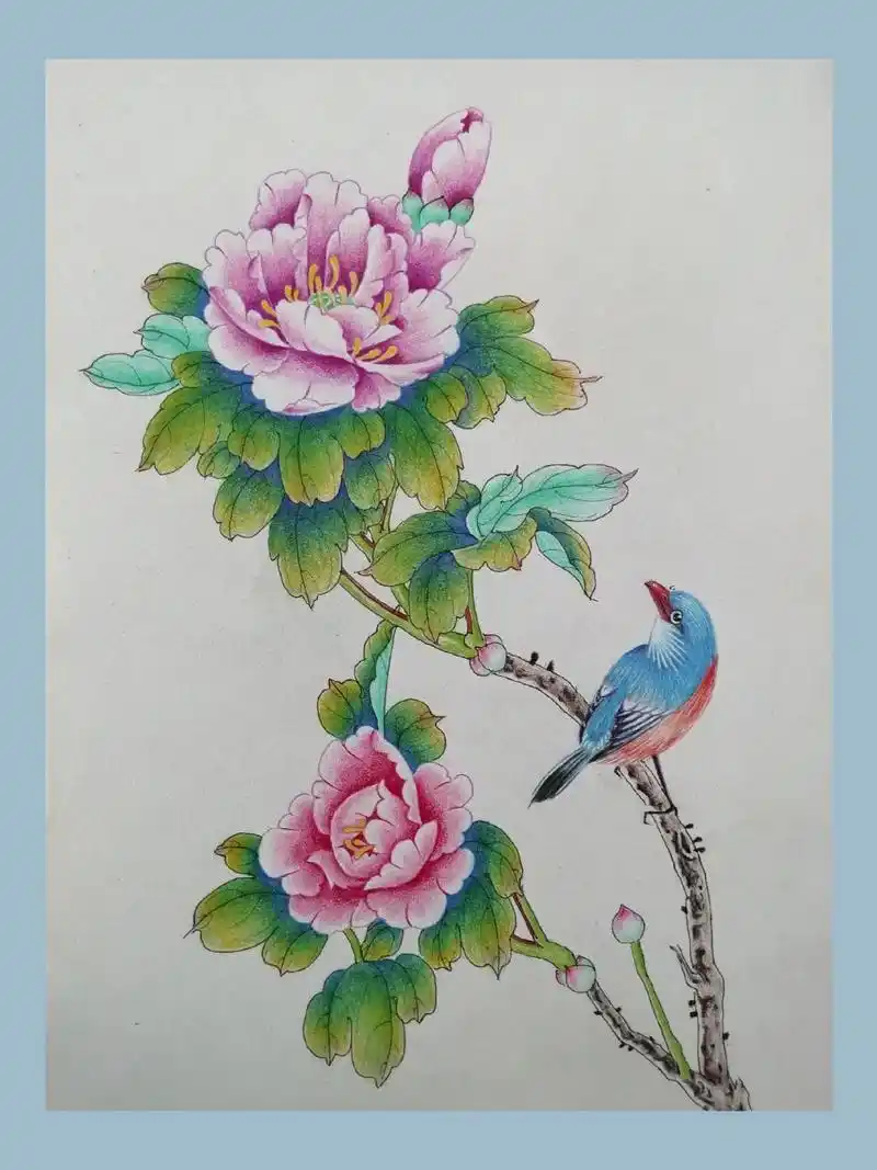 国色天香 彩铅花鸟手绘过程 马可彩铅8开鸣画林素描纸 1根据构图法则