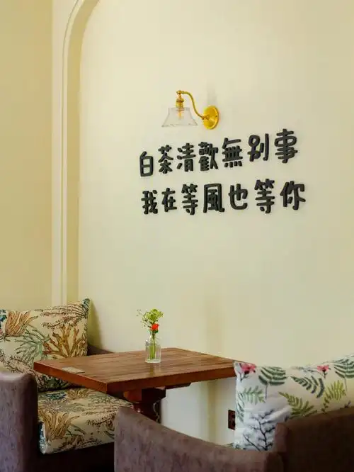 我在等风也等你