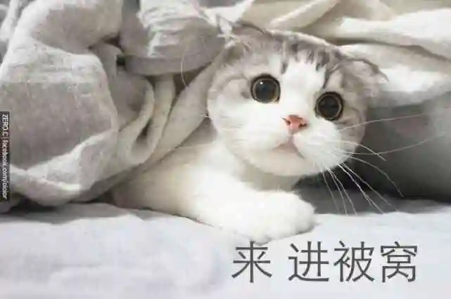 我怎么三年了表情包 - 日常表情包