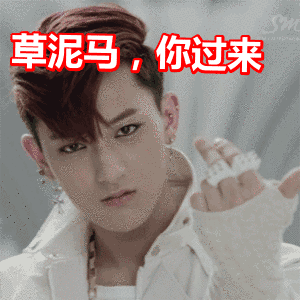黄子韬酷帅mv造型斗图草泥马,你过来gif动图_动态图_表情包下载_soo