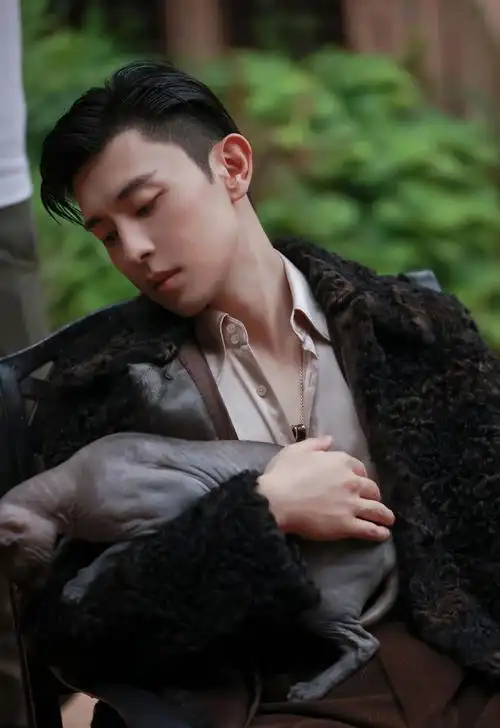 邓伦与猫为伴_手机壁纸_明星美女手机壁纸_我要个性网