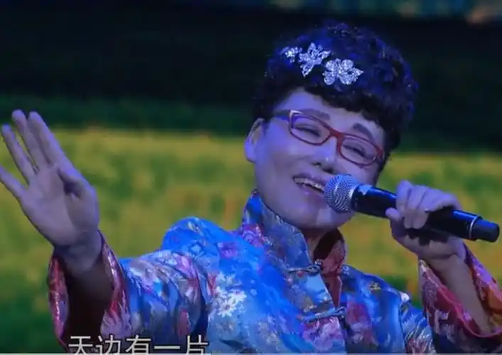 她竟是著名歌唱家胡晓晴!高清视频来了!再来一起欣赏她动听的歌声吧