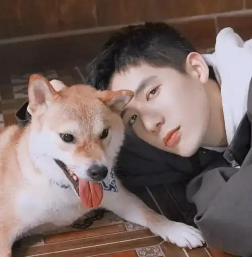 想求王安宇的无水印壁纸最近好迷他