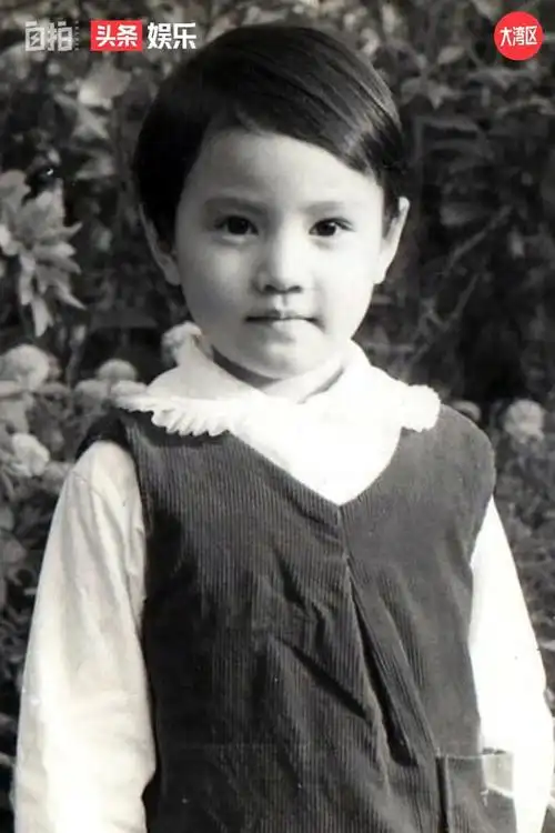 一下子爱上了这座城市|汤镇业|黄日华|张曼玉|曾志伟|汪明荃_网易订阅