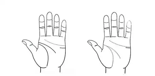 李计忠教你看手相:第四十一节 掌线详解之反抗线