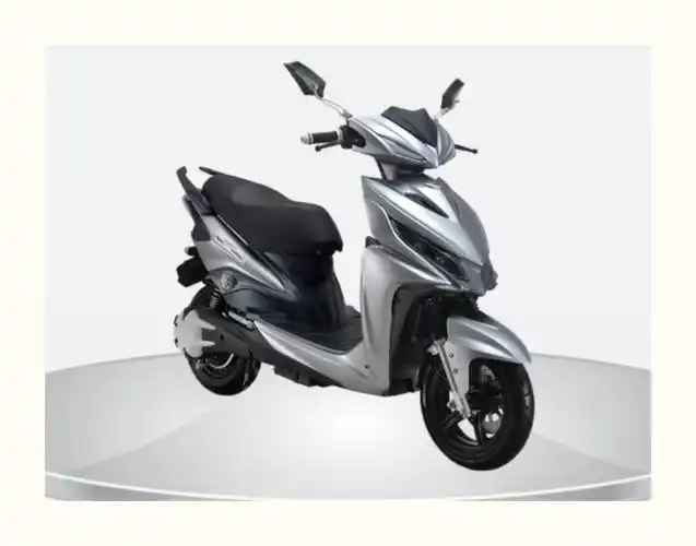 立马电动车闪电美灵青春车型通用原装脚蹬更多电动车零