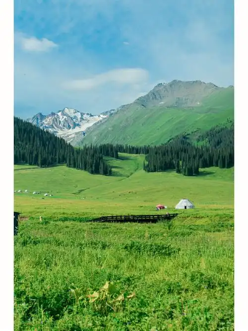 1080_1439竖版 竖屏