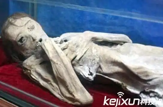 阳城墓中女子身份已经不可考证,但当阳墓中的年轻女子被怀疑是貂蝉.