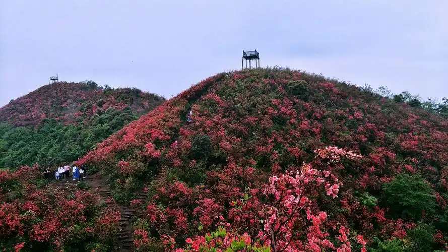 四八门--手机拍摄