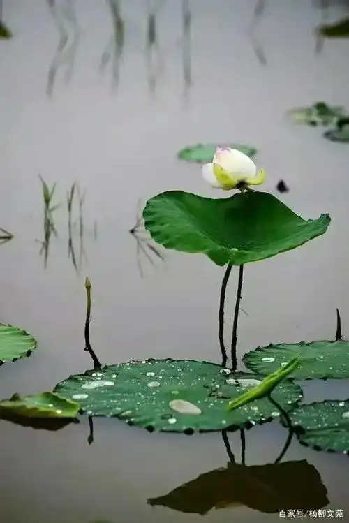 就这样吧,从此山水不相逢