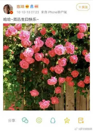 娱圈柠檬精的微博_微博