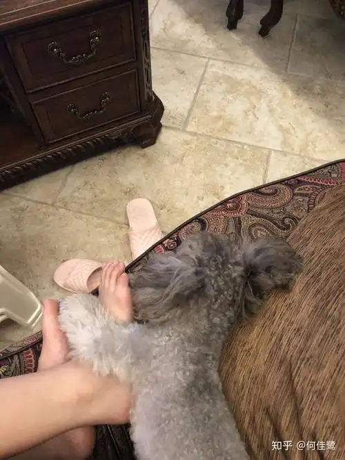 爱你 连你的脚丫子都是香的