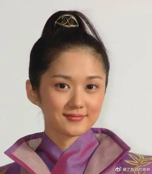 我们认识了饰演白素贞的赵雅芝,饰演小青的陈美琪以及饰演许仙的叶童