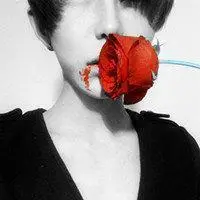 qq头像嘴叼玫瑰花图片大全