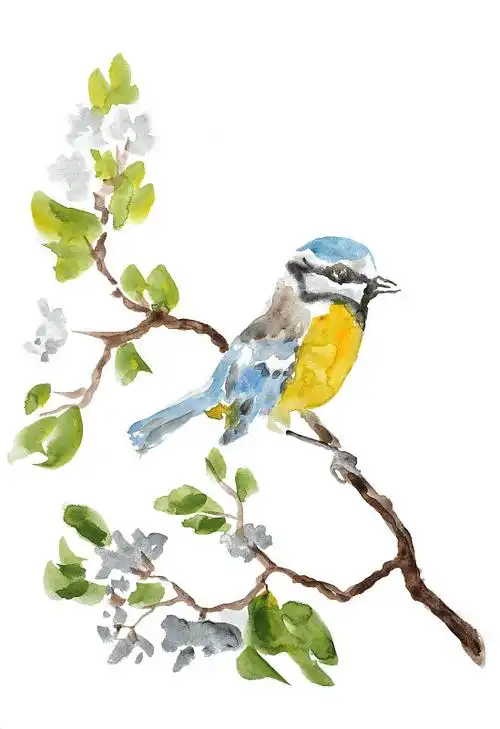 小鸟插画插画_小鸟插画手绘插画设计网