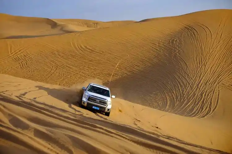 金秋十月,腾格里沙漠吸引不少游人前来观光.