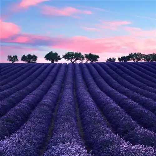 适合一辈子风景头像图片 高清值得一辈子不换的头像风景_风景微信头像