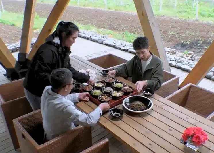马伯骞爸爸去乡村建民宿风景独好可瞭望田野宛如世外桃源