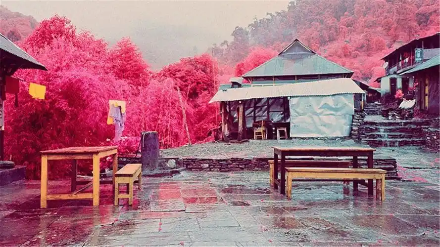 红外胶片拍下的奇妙世界唯美新清高清电脑壁纸下载