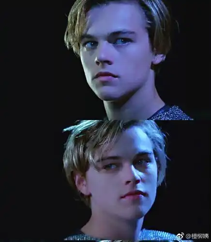 小李子这发型很好看 有没有发型名字 想去理的话该给理发的怎么解释(.