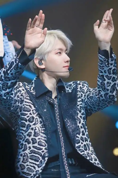 边伯贤#19111294 we are the future tour in 沃斯堡    银色小