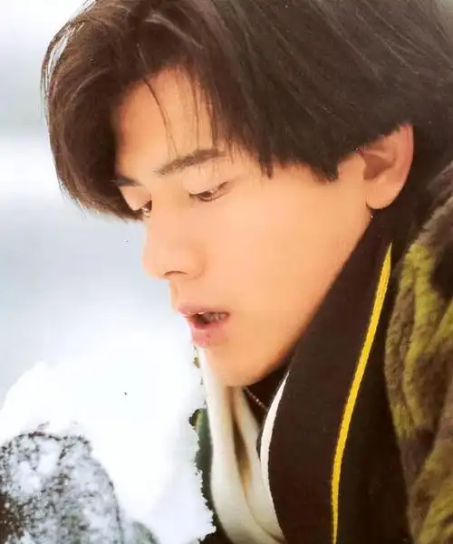 回顾这9位男明星的长相,真的长到了中国人的心里,帅气又不失儒雅