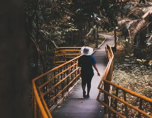 步行,散步,步法,步态,道路状态