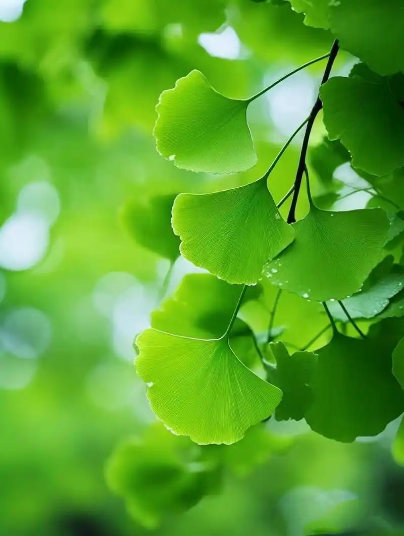 美图分享,适合做屏保,壁纸.