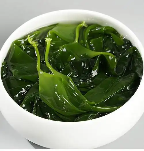 东海海带苗嫩苗新鲜干货嫩芽盐渍小海带非干货火锅食材凉拌 海带嫩苗3