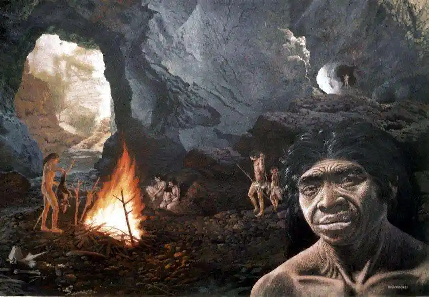 美国语文第五册(mp3 中英字幕) 第316期:论烤猪(6)