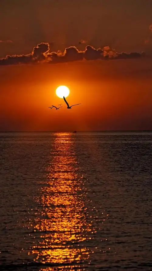 最美不过夕阳黄昏晚霞相映