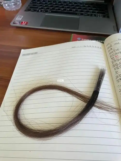 救救孩子吧两天掉了一缕头发正常吗